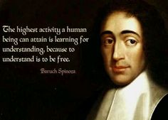 Spinoza and the joy of learning